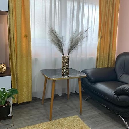 Garsoniera Madalina Apartment ซีบิว ภายนอก รูปภาพ