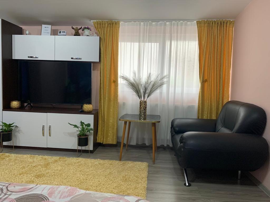 Garsoniera Madalina Apartment ซีบิว ภายนอก รูปภาพ
