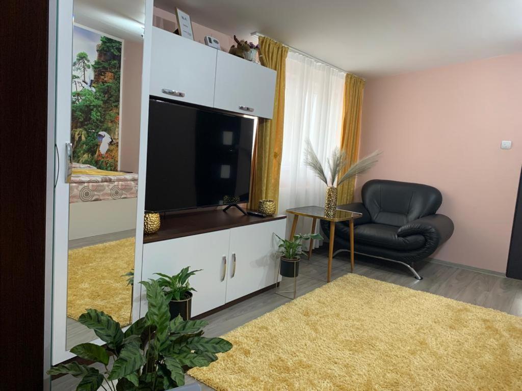 Garsoniera Madalina Apartment ซีบิว ภายนอก รูปภาพ