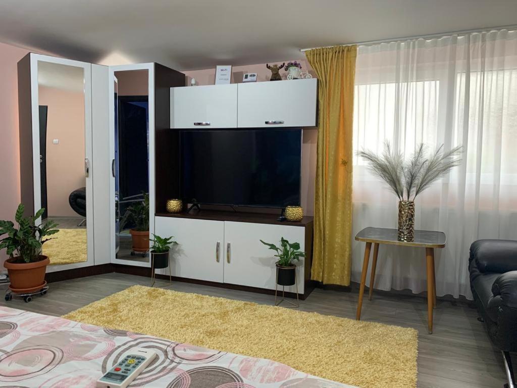 Garsoniera Madalina Apartment ซีบิว ภายนอก รูปภาพ