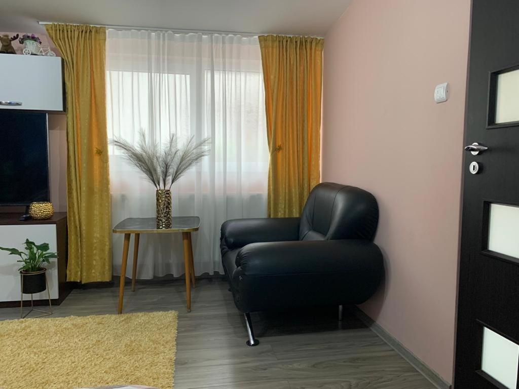 Garsoniera Madalina Apartment ซีบิว ภายนอก รูปภาพ