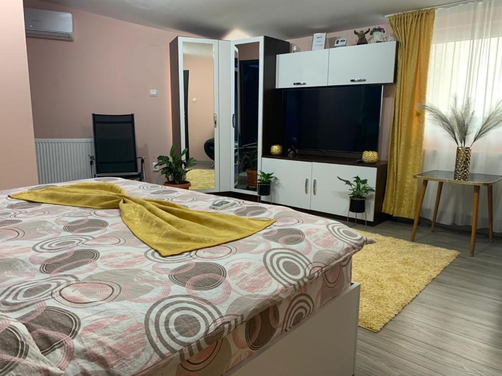 Garsoniera Madalina Apartment ซีบิว ภายนอก รูปภาพ